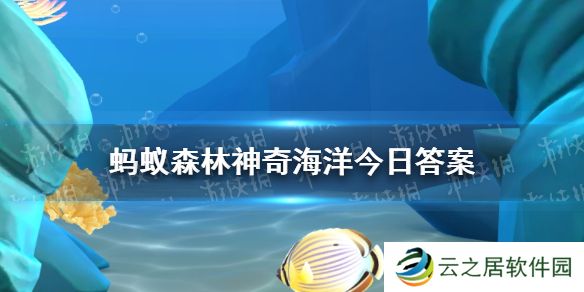 生活在海底的虎耳菇其实是一种 神奇海洋1月4日答案